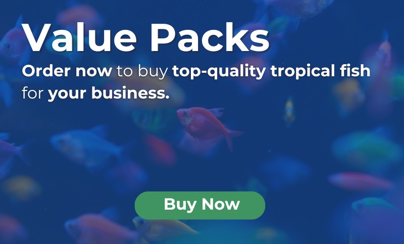 Value Packs